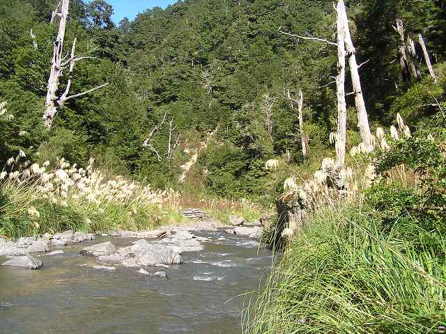 NZ leden-unor 2006 224.jpg